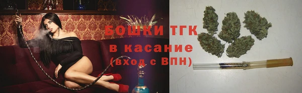 Альфа ПВП Верея