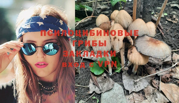 Альфа ПВП Верея