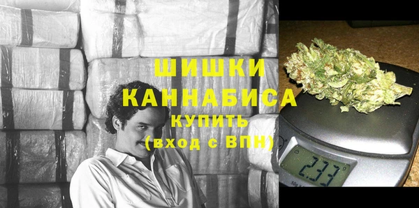 Альфа ПВП Верея